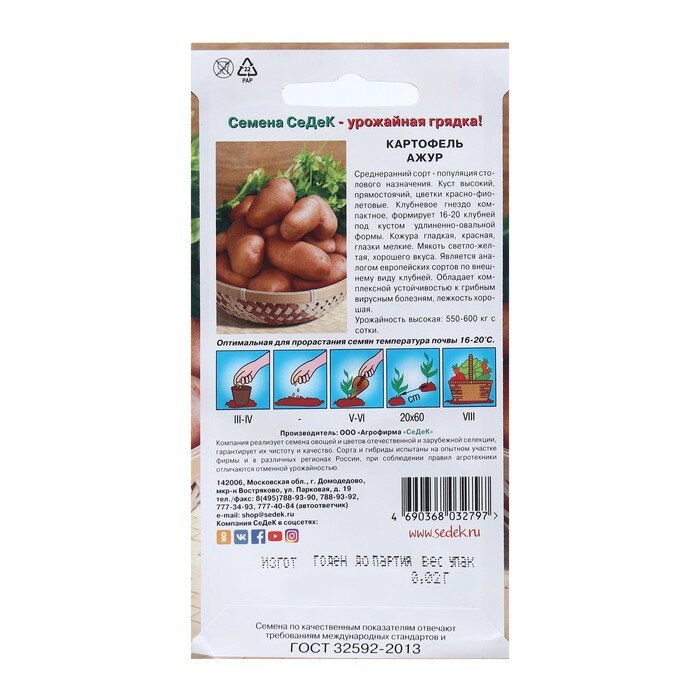 Семена картофель Ажур, 0,02 - фотография № 2