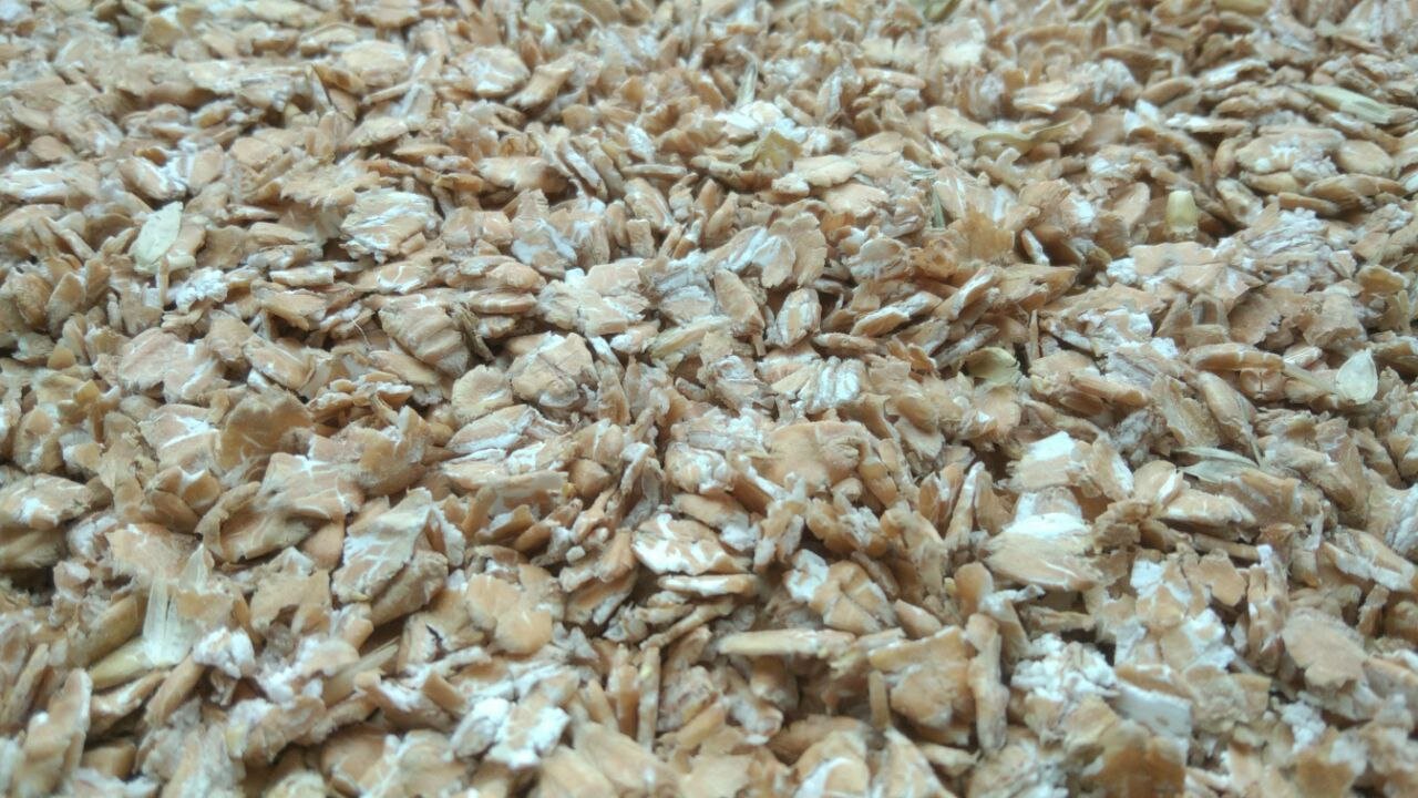 Пшеница микронизированная плющеная 3кг - фотография № 6