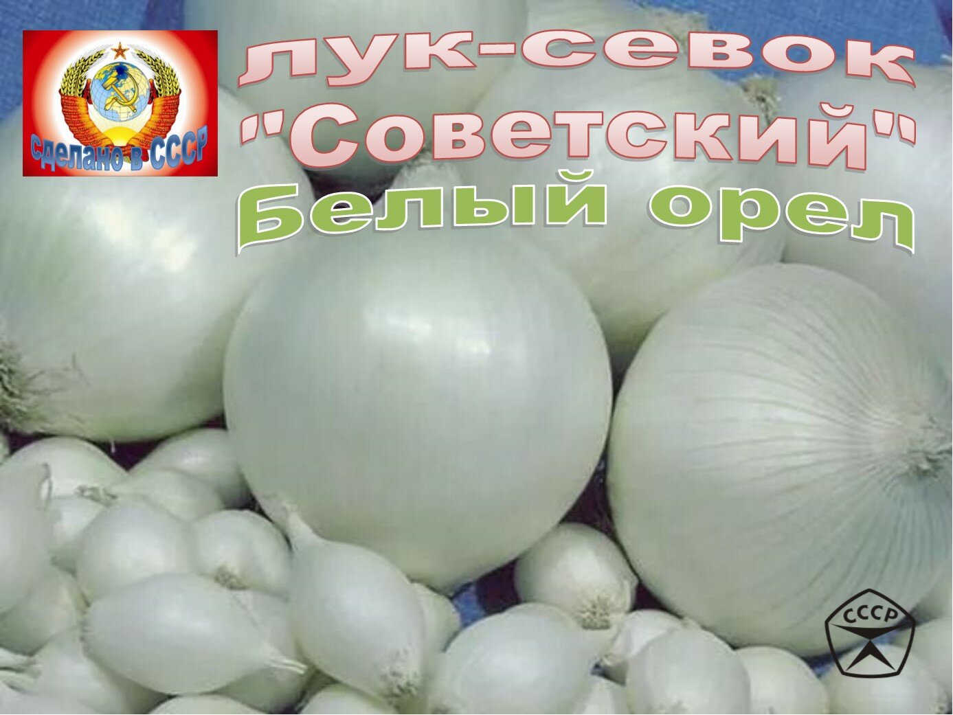 Лук-севок Белый орел "Советский", 1-я категория, 1000 грамм
