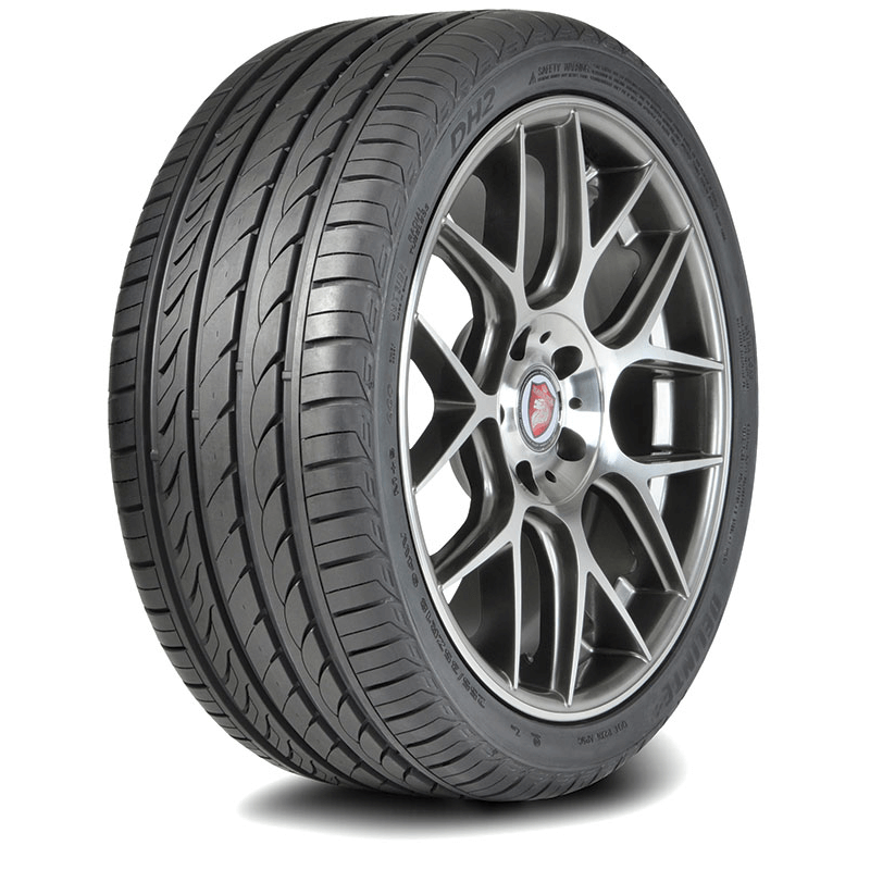  205/55 R16 Delinte DH2 94W