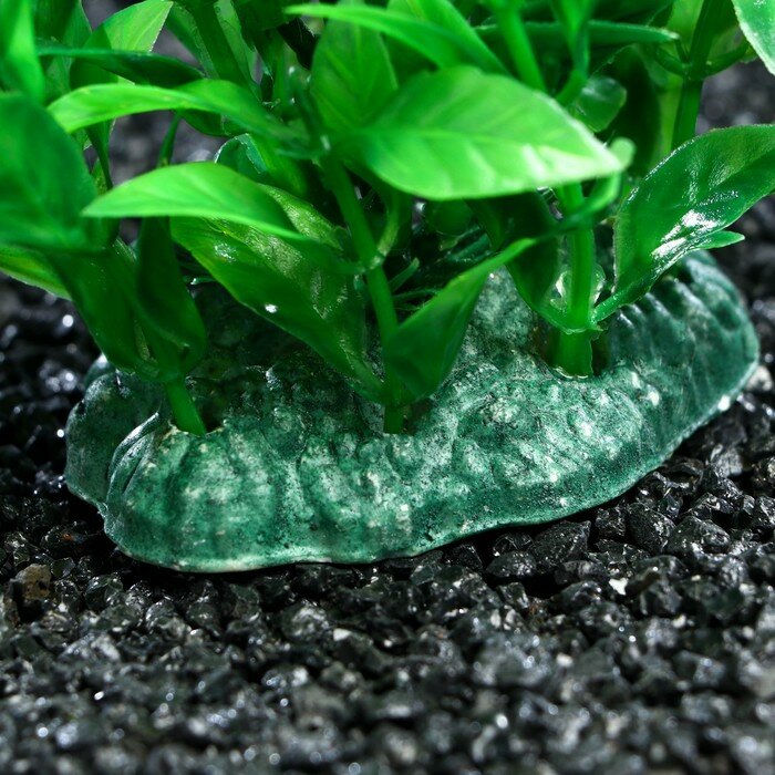 Растение искусственное аквариумное, 11 см, зелёное - фотография № 3