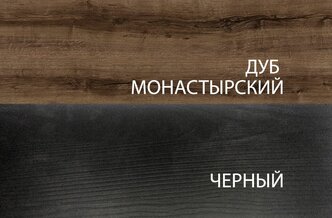 Шкаф Анрэкс 2DG2S JAGGER Дуб монастырский/Черный