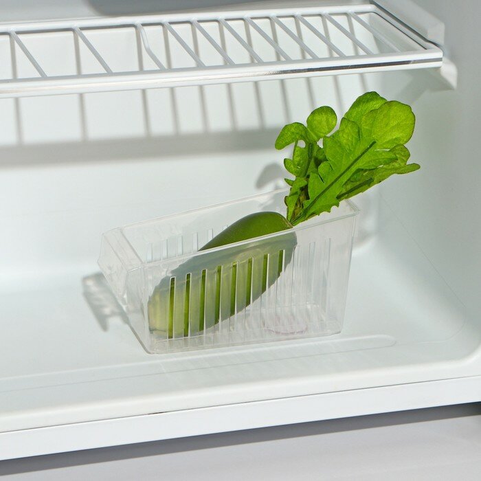 Органайзер для холодильника КНР 16,5х7х9 см, пластик, прямоугольный - фотография № 1