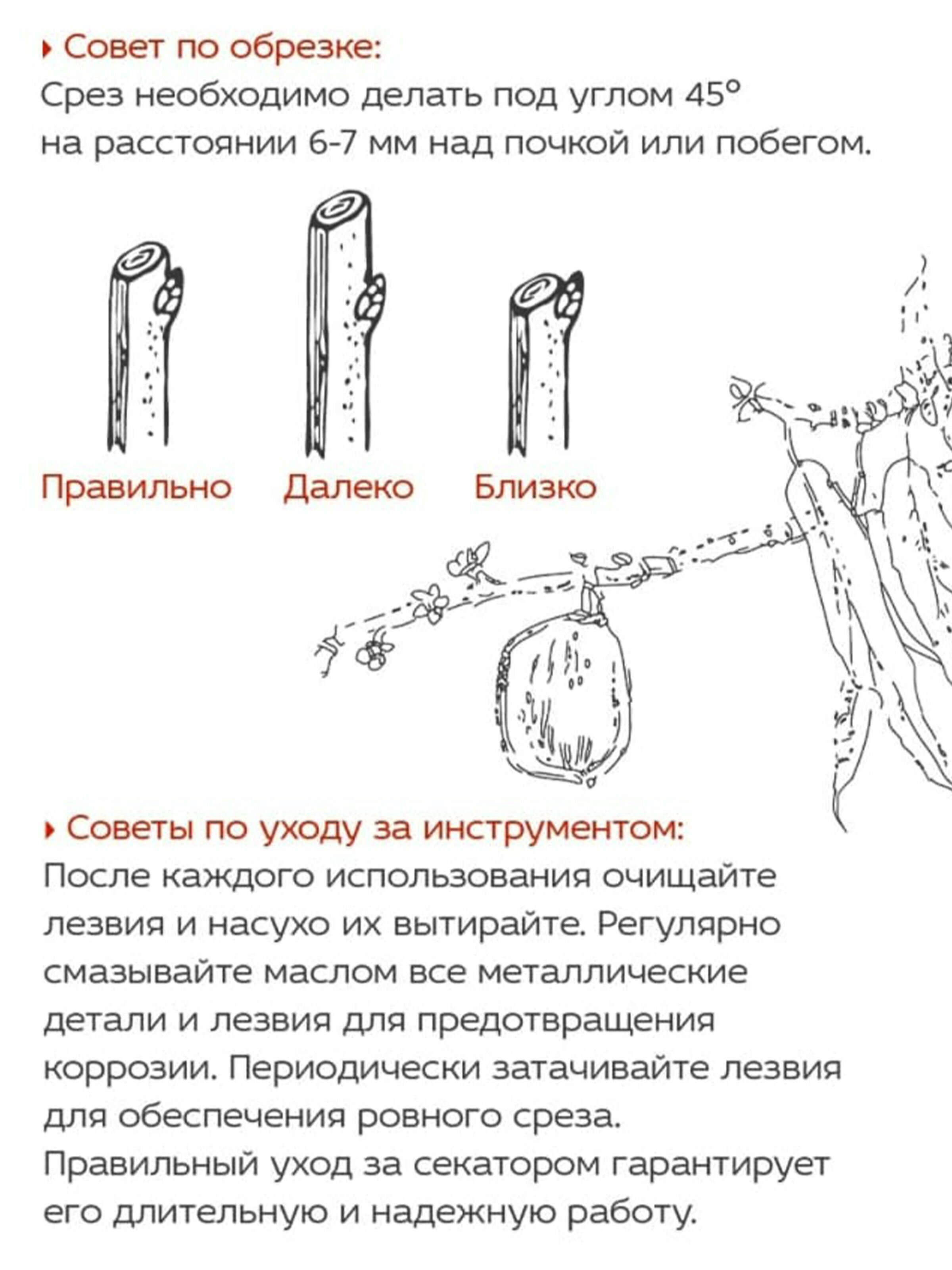 Секатор для сада универсальный профессиональный зубчатый - фотография № 11