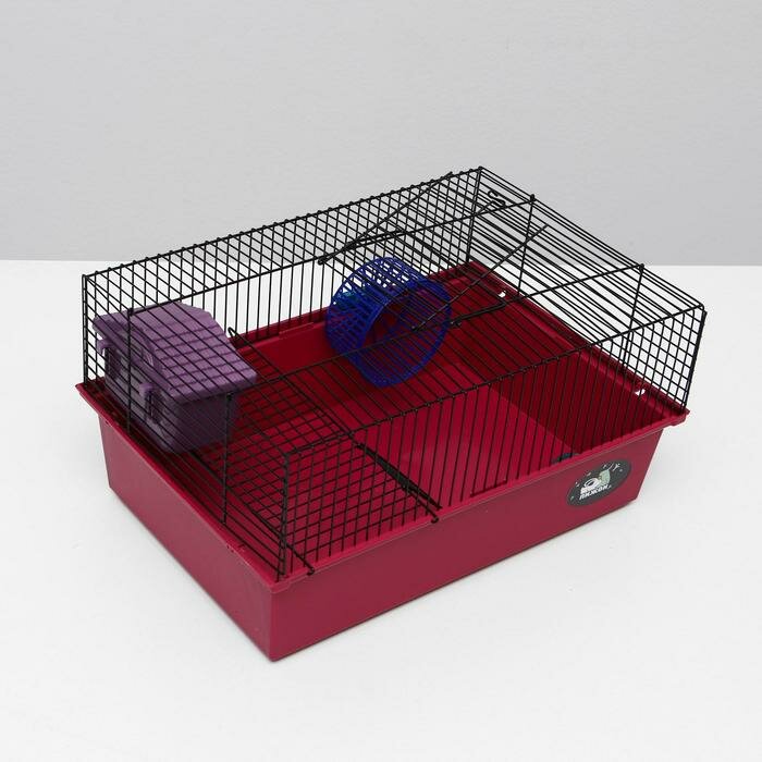 Клетка для грызунов "Пижон" №4, с этажом, укомплектованная, 37 х 26 х 18 см, рубиновая - фотография № 2