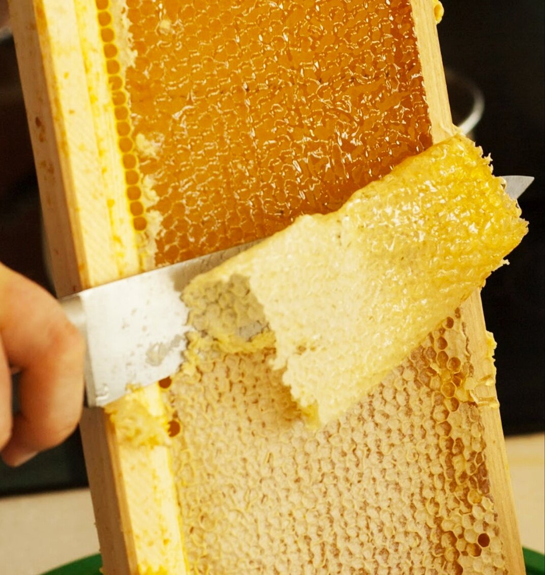 Забрус пчелиный / медовые срезы пчелиных сот. - фотография № 3