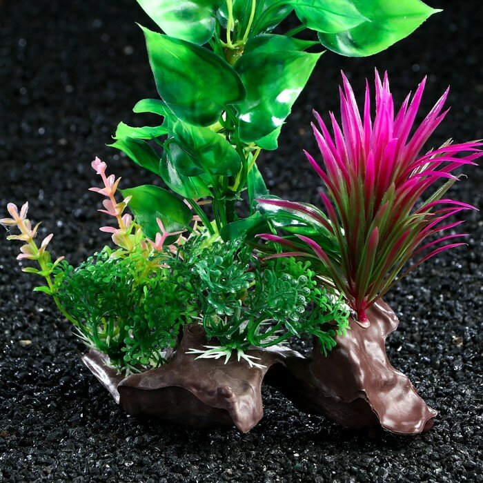 Растение искусственное аквариумное на платформе в виде коряги, 18 см, зелёно-розовое - фотография № 4
