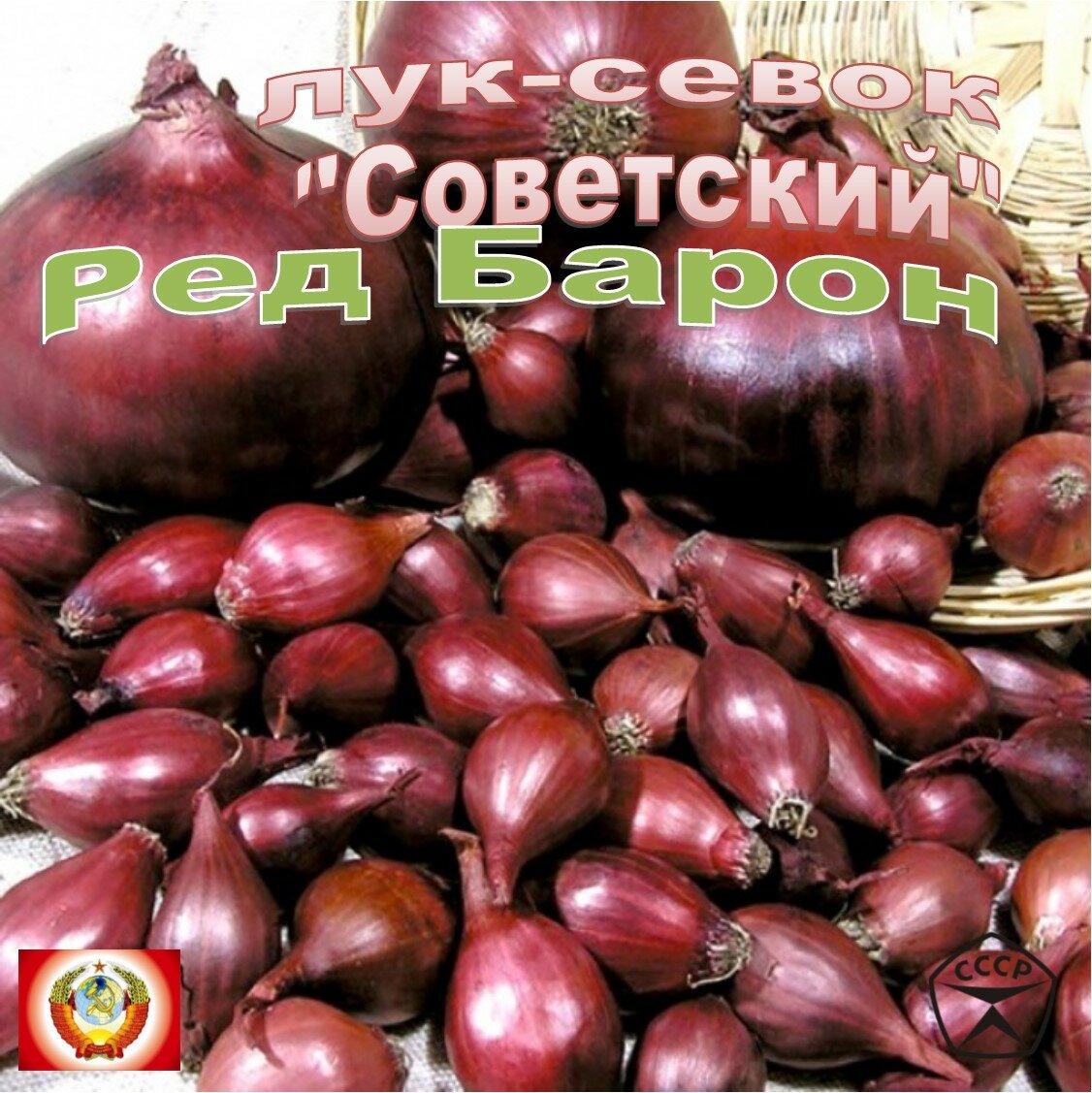 Лук-севок Ред Барон "Советский", 1-я категория (8-14мм), 500 грамм