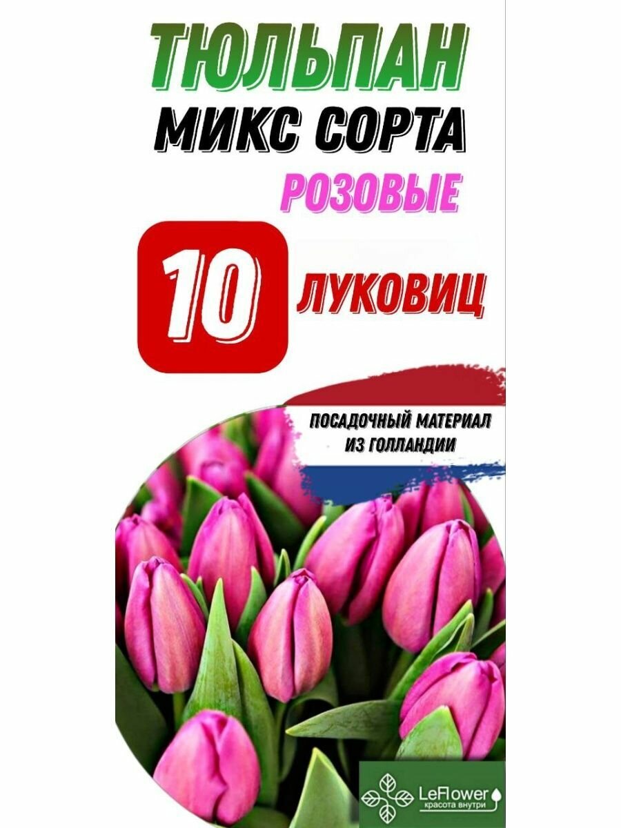 Тюльпан Луковица, Микс розовых сортов, 10шт (LeFlower) - фотография № 1