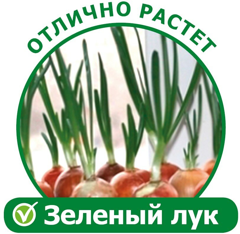Zdorovya Klad аэросад original двойной проращиватель семян домашний - фотография № 12