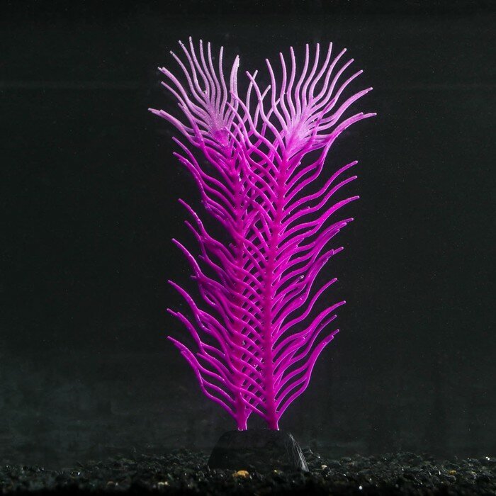 Растение силиконовое аквариумное, светящееся в темноте, 6,5 х 18 см, фиолетовое - фотография № 1