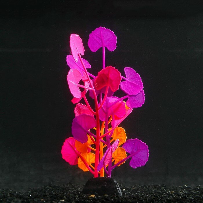 Растение силиконовое аквариумное, светящееся в темноте, 8 х 19 см, разноцветное - фотография № 1