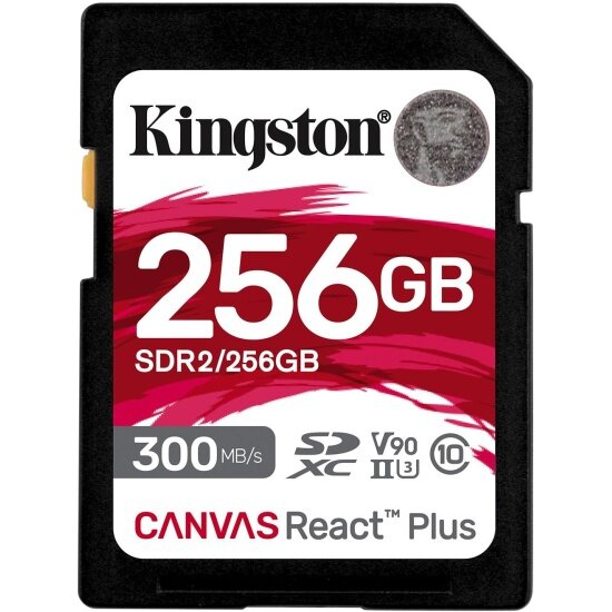 Флешка KINGSTON 256Gb (SDR2/256GB)