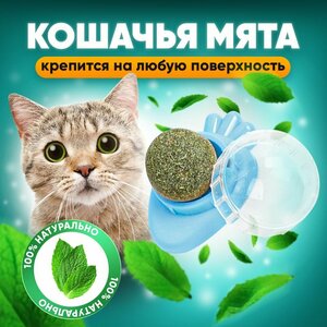 Кошачья мята шарик на стену / леденец для кошек и котят/игрушка для кошек/