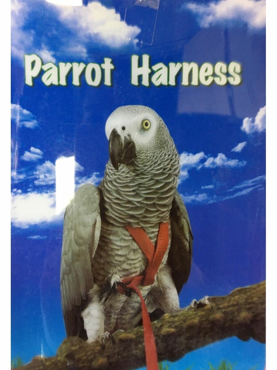 Parrot Harness шлейка для попугая L - фотография № 2