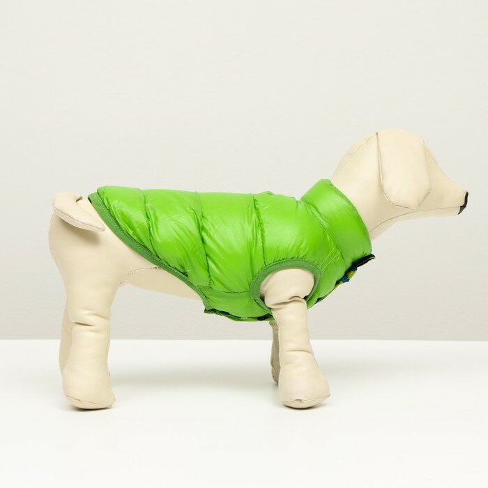 Куртка для собак двухсторонняя с принтом, размер 8 (ДС 20 см, ОГ 30, ОШ 22 см), зелёная - фотография № 2