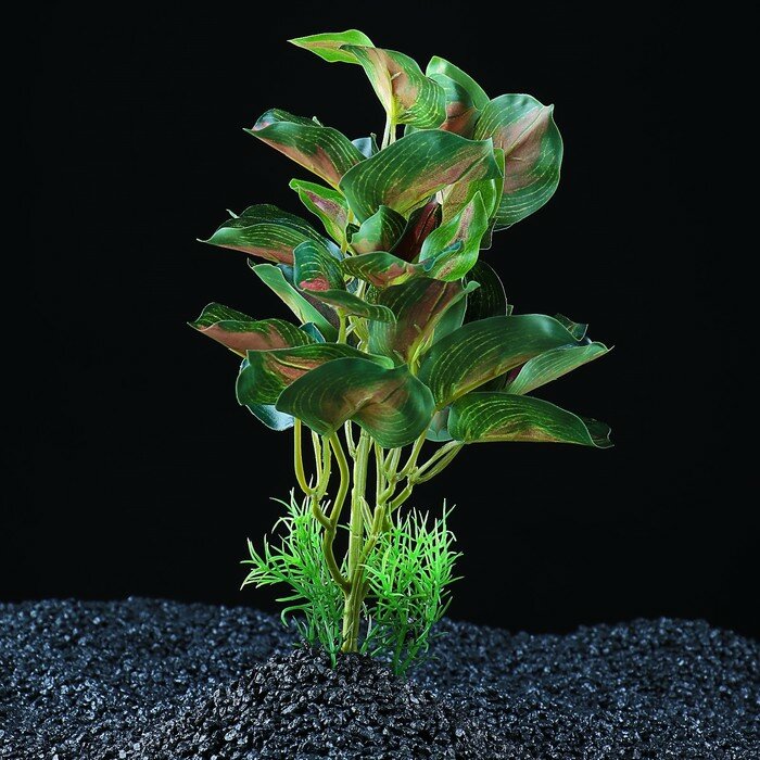 Растение аквариумное "в горшочке", 31 х 23 х 19 см - фотография № 1