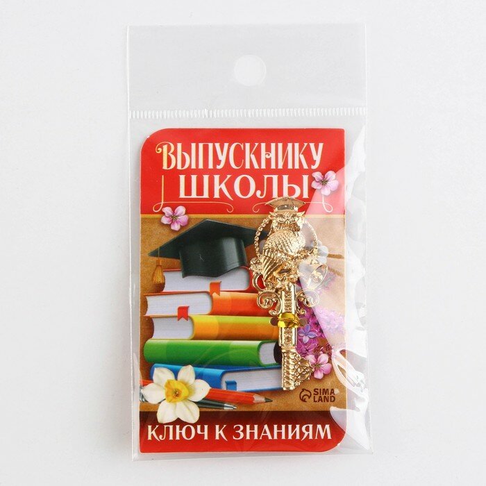 Ключ сувенирный «Выпускнику школы», металл, 2 х 4,8 см - фотография № 7