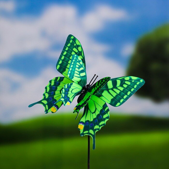 Штекер садовый "Бабочка" 13,5см, микс - фотография № 4