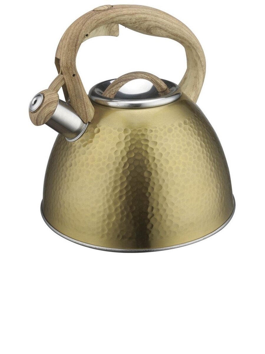 фото Чайник для плиты