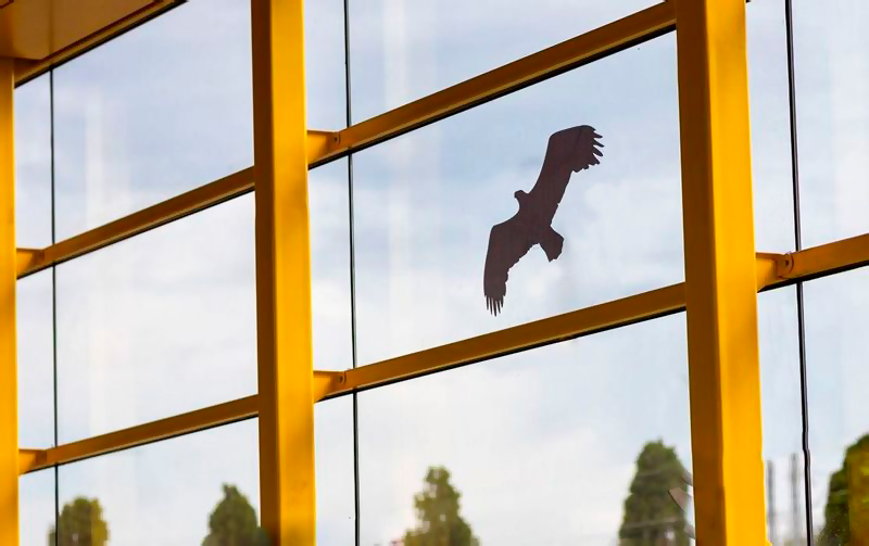 Наклейки на окна для отпугивания птиц (42 x 30) см - V29 - фотография № 7