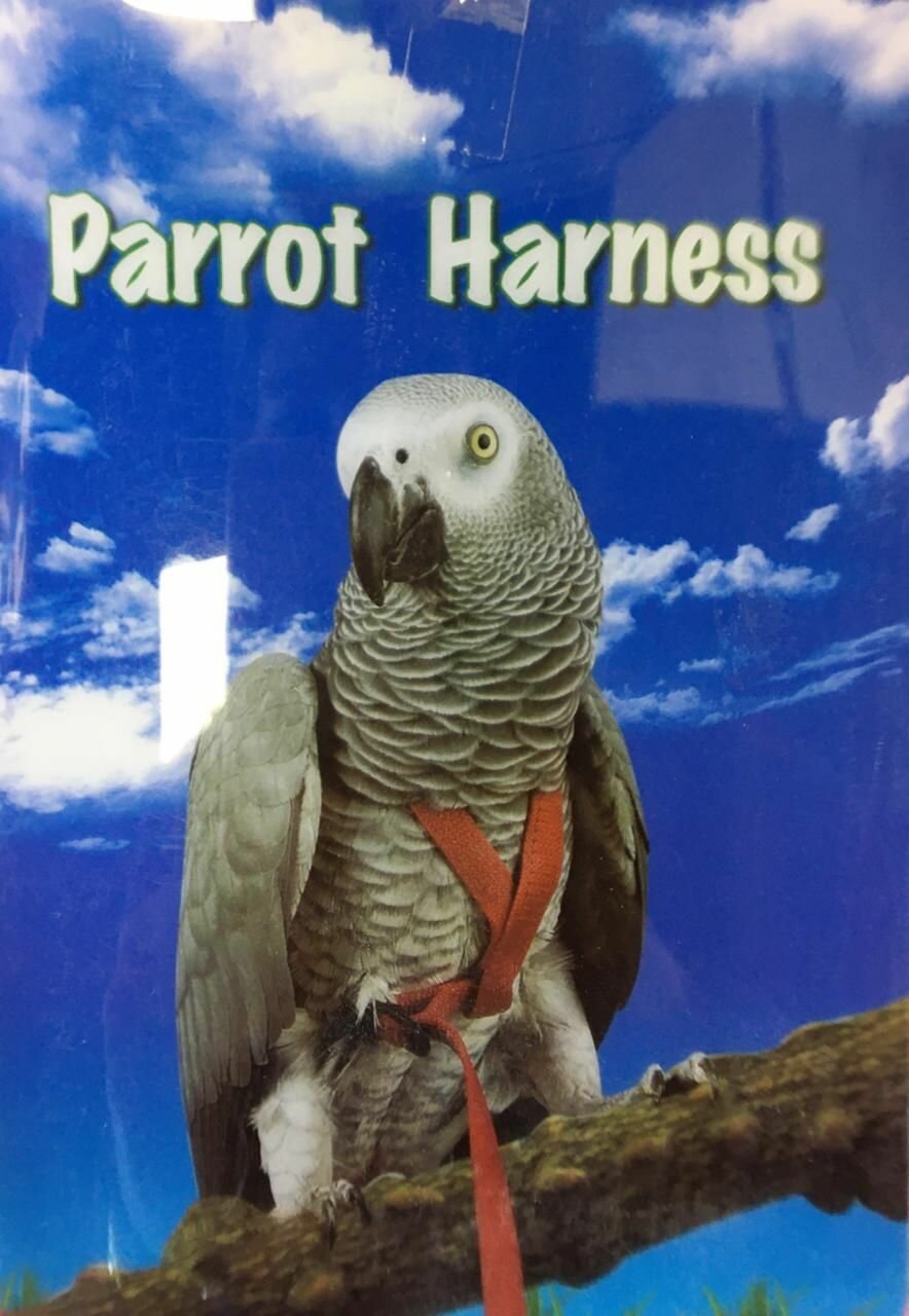 Parrot Harness шлейка для попугая L - фотография № 3