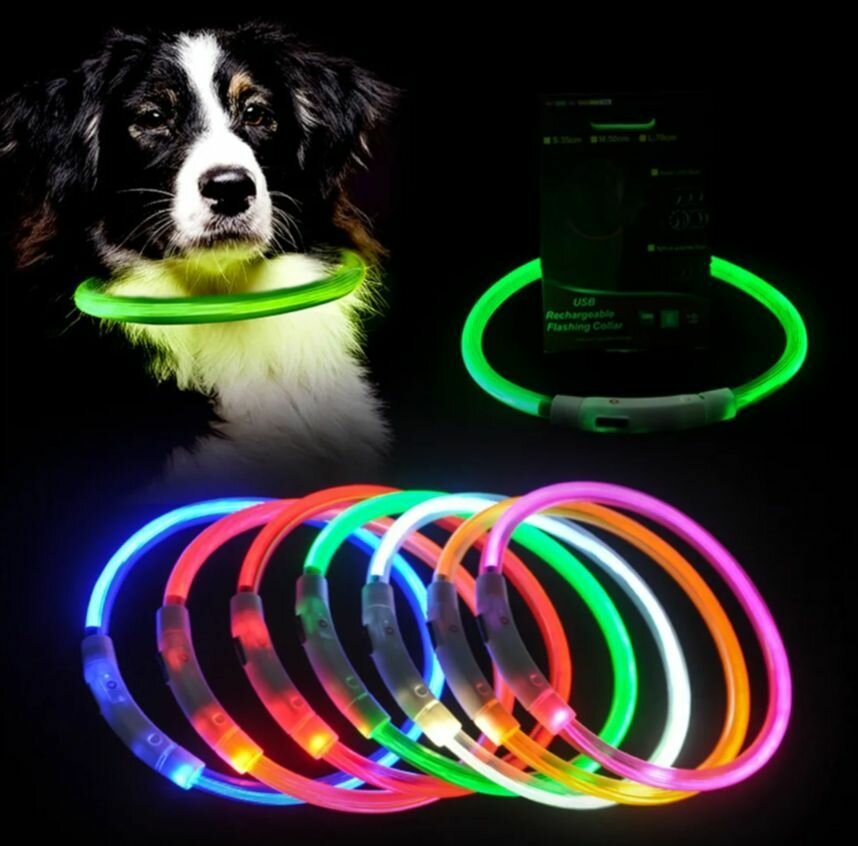 Светящийся ошейник для прогулок с usb зарядкой регулируемый по длине для собак кошек, длина 50 см - фотография № 2