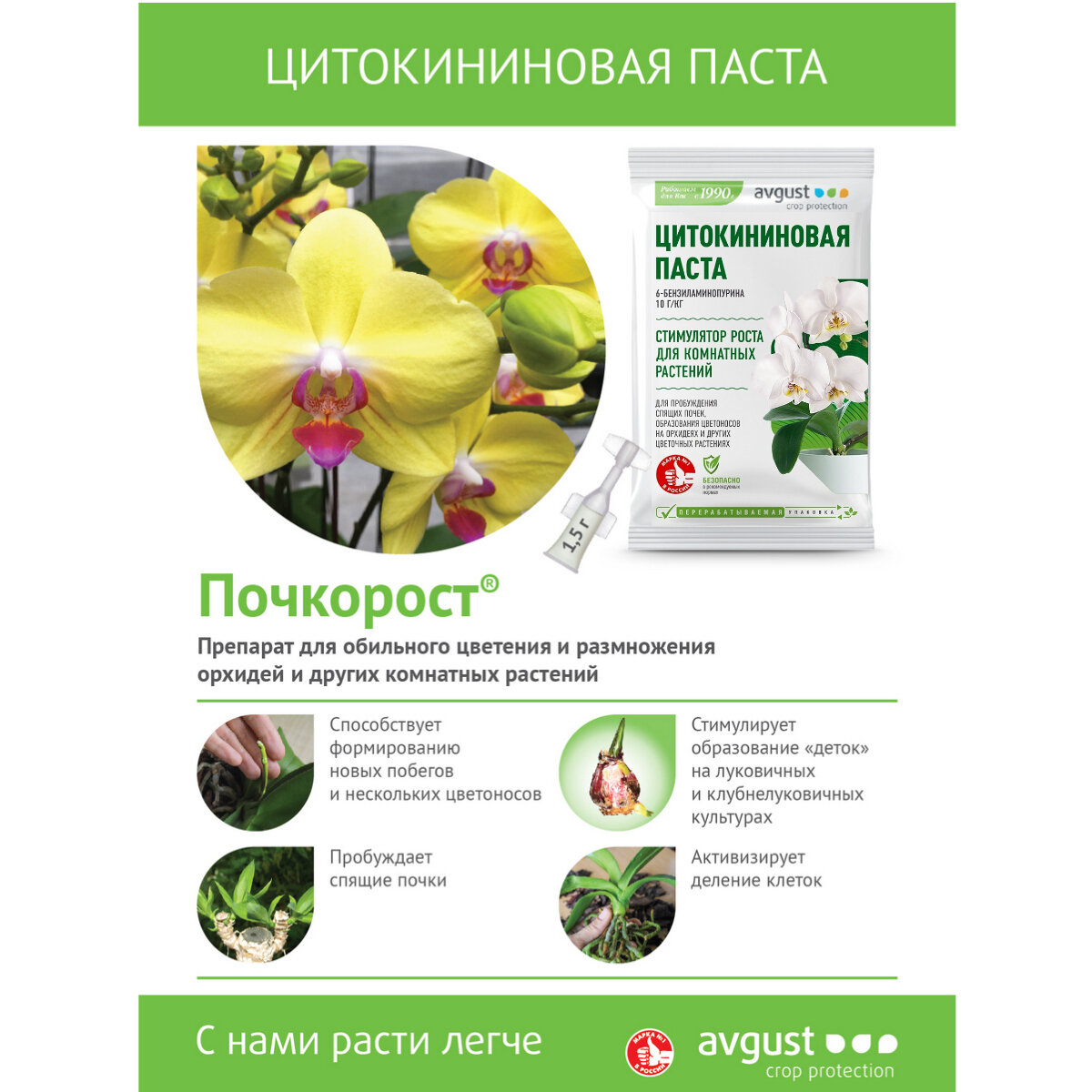 Цитокининовая паста AVGUST Почкорост, 2шт по 1,5г (3 г)