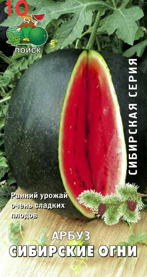 Семена Арбуз Сибирские огни 3 г (10 шт.)