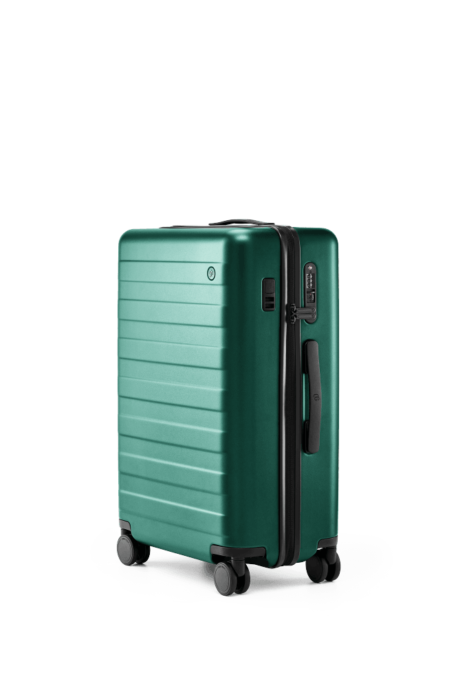NINETYGO Чемодан NINETYGO Rhine PRO plus Luggage -20'' зеленый