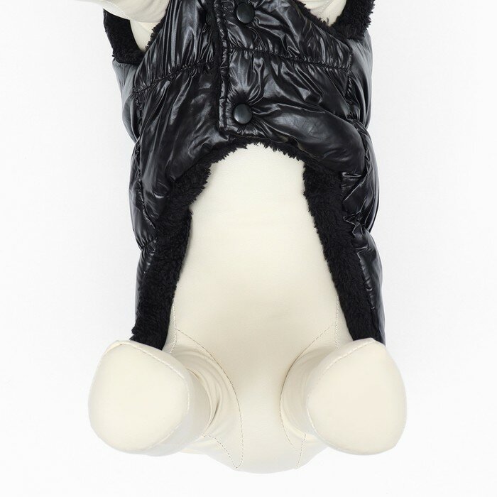 Куртка для собак "Блеск", XS (ДС 20, ОГ 28, ОШ 19 см, до 3 кг), чёрная - фотография № 6