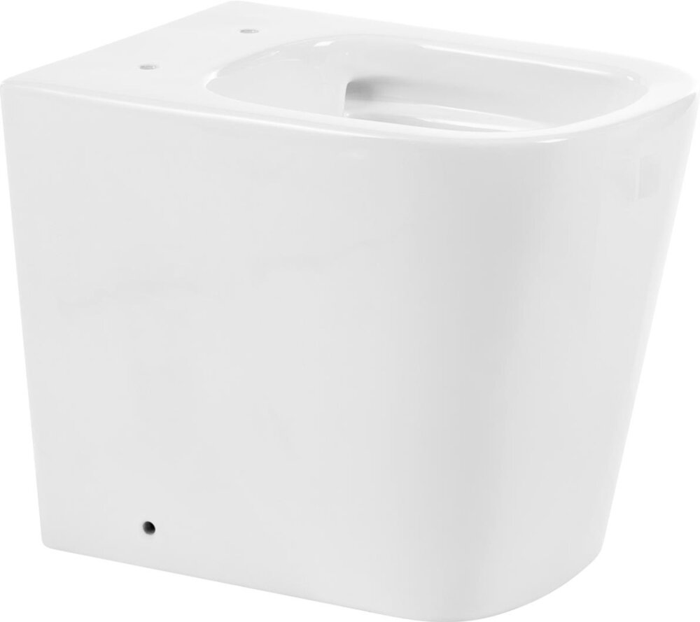 фото Чаша для унитаза приставного BelBagno BB120CBR