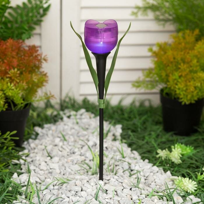 Грунтовые Uniel Фонарь садовый на солнечной батарее Uniel "Лиловый тюльпан", белый свет, IP44, 305 мм