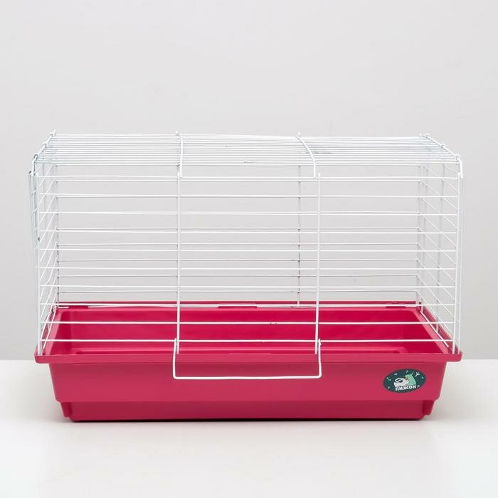 Клетка для кроликов, морских свинок "Пижон" №14, складная, 58х40х38 см, рубиновая - фотография № 4