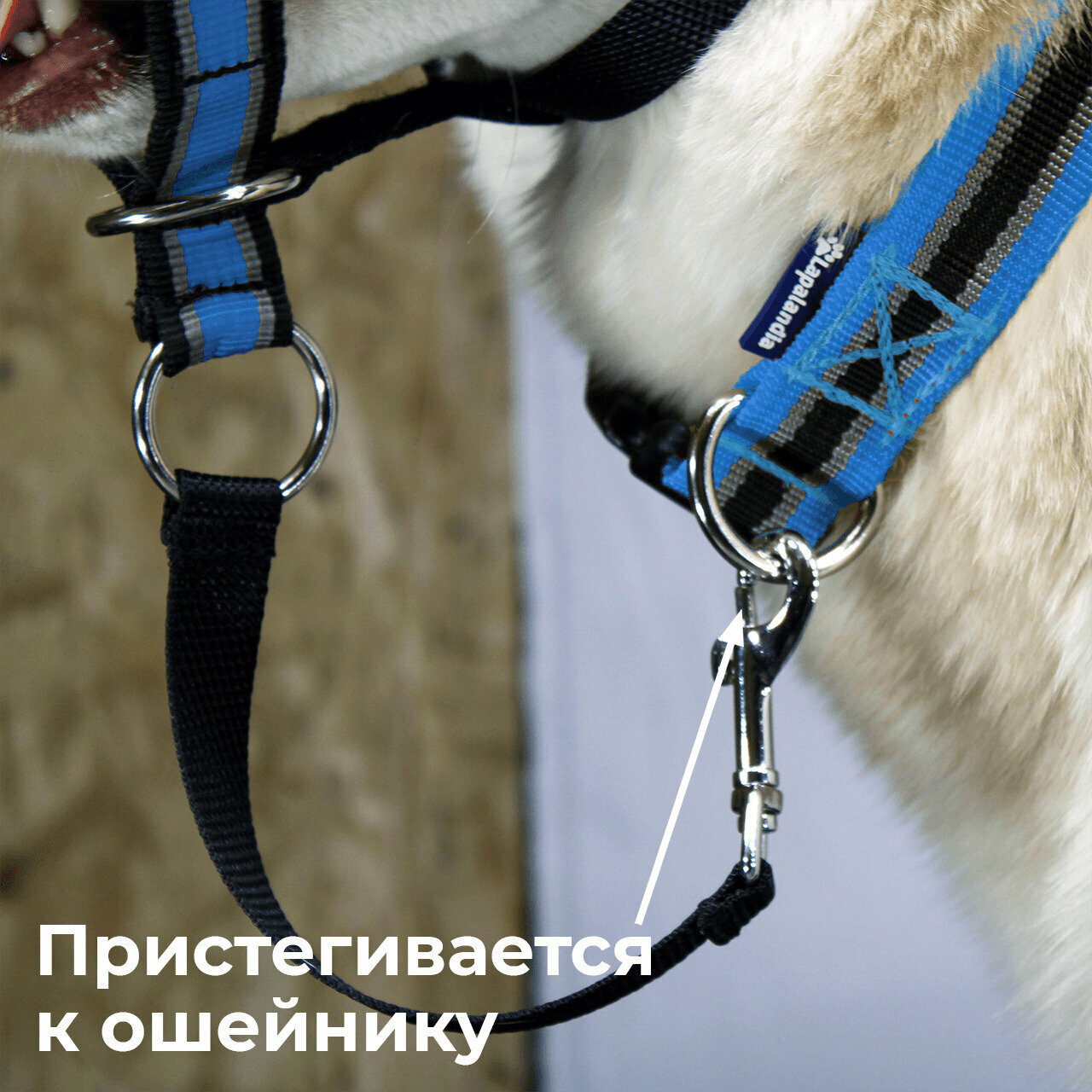 Недоуздок для собак White Wolf (корректор поведения, халти) Спорт Синий - фотография № 3