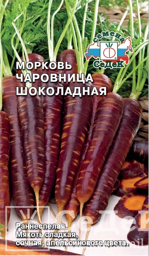 Морковь Чаровница Шоколадная (0,1г) Седек