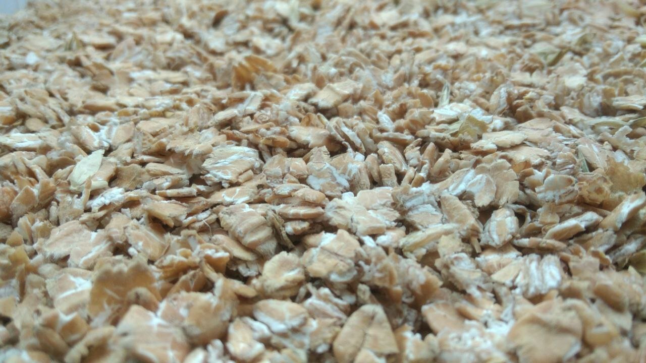 Пшеница микронизированная плющеная 3кг - фотография № 3