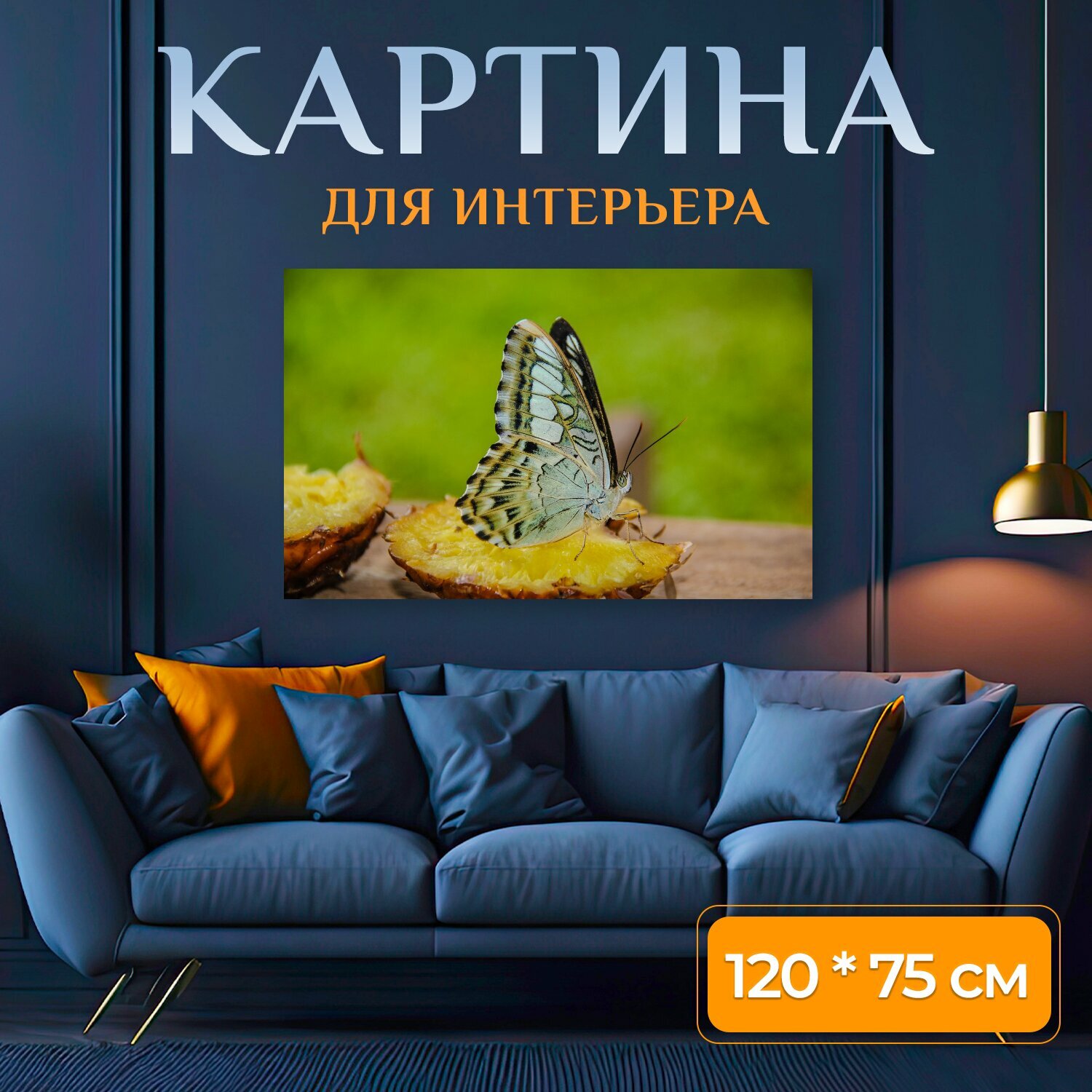Картина на холсте "Техник бабочка просеянной, вонг нимфалид, насекомое" на подрамнике 120х75 см. для интерьера