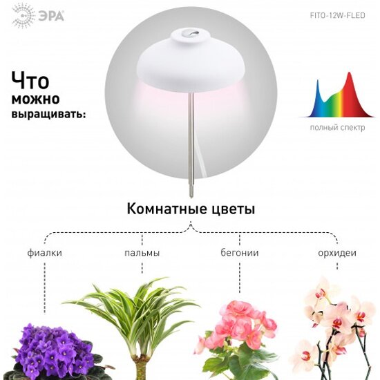 ЭРА Фито светильник для горшечных растений Сrocus FITO-12W-FLED
