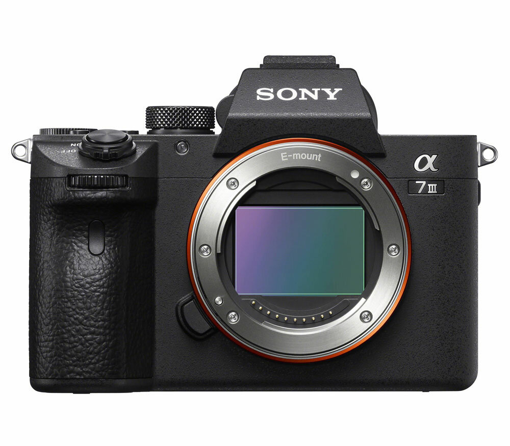 Фотоаппарат системный премиум Sony - фото №1