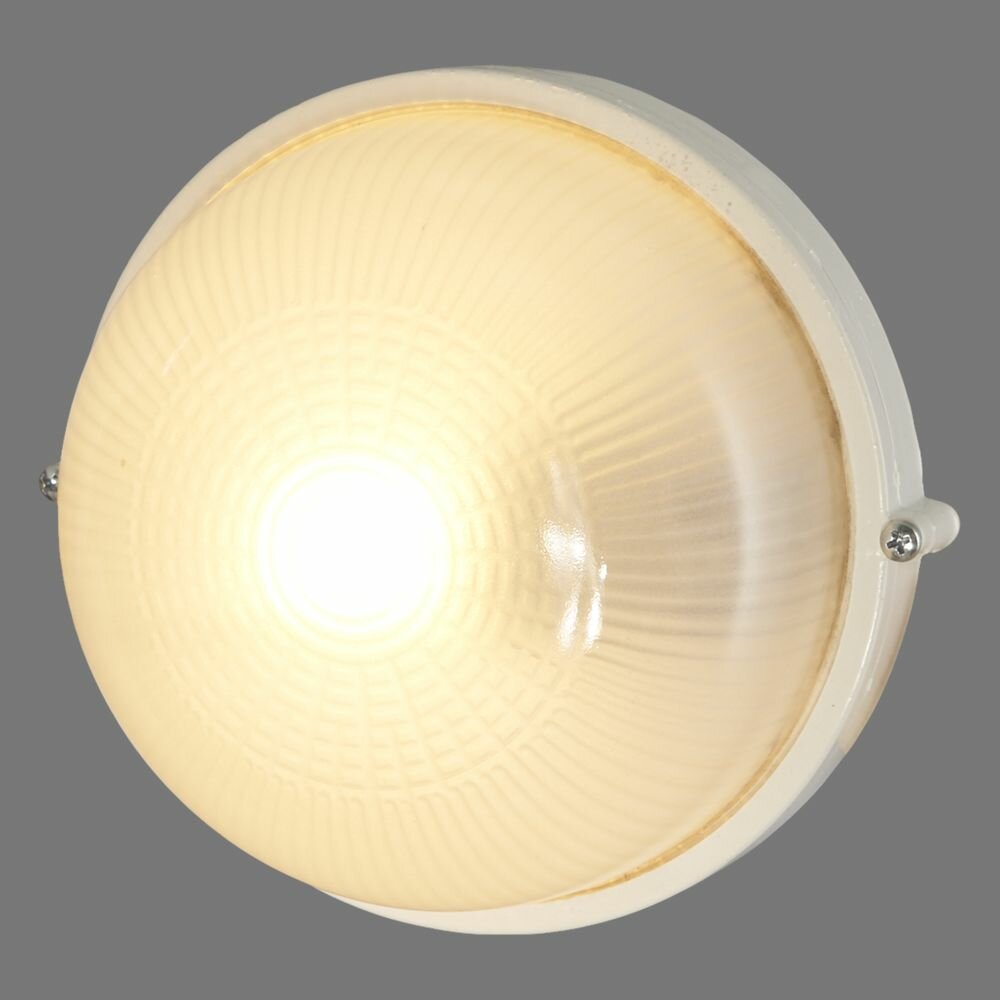 Светильник круглый TDM Electric НПБ 1301 1xE27x60 Вт, цвет белый, IP54 - фотография № 4