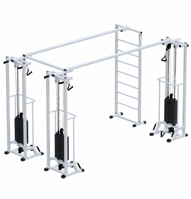 "Биотонус-3" 75 кг со шведской стенкой