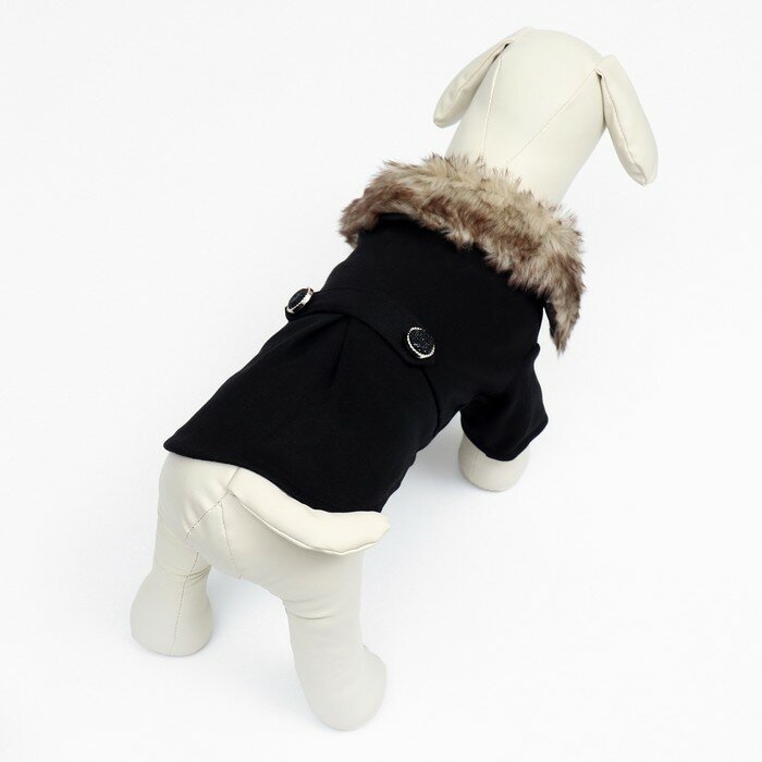 FlowMe Пальто для собак, размер S (ДС 25, ОГ 38-39, ОШ 25-26 см), чёрное - фотография № 4