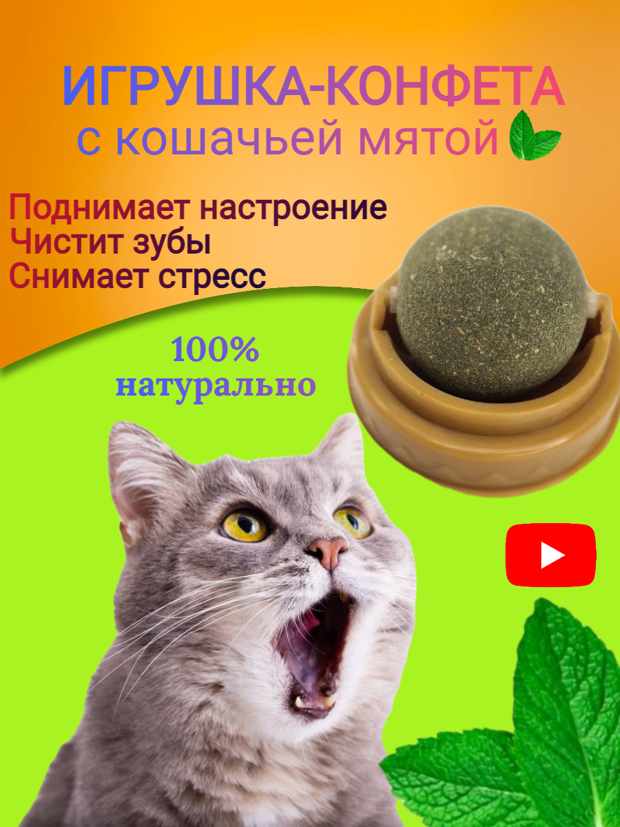 фото Кошачья мята лакомство и игрушка для животных для кошек