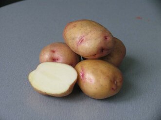 Картофель семенной Жуковский ранний ( 2 кг в сетке 28-55 мм, элита )