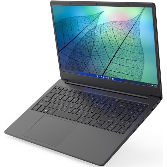 Ноутбук Hiper WORKBOOK A1568K (A1568K1135DS) Black Core i5-1135G7/8G/512G SSD/15.6" FHD IPS/WiFi/BT/DOS