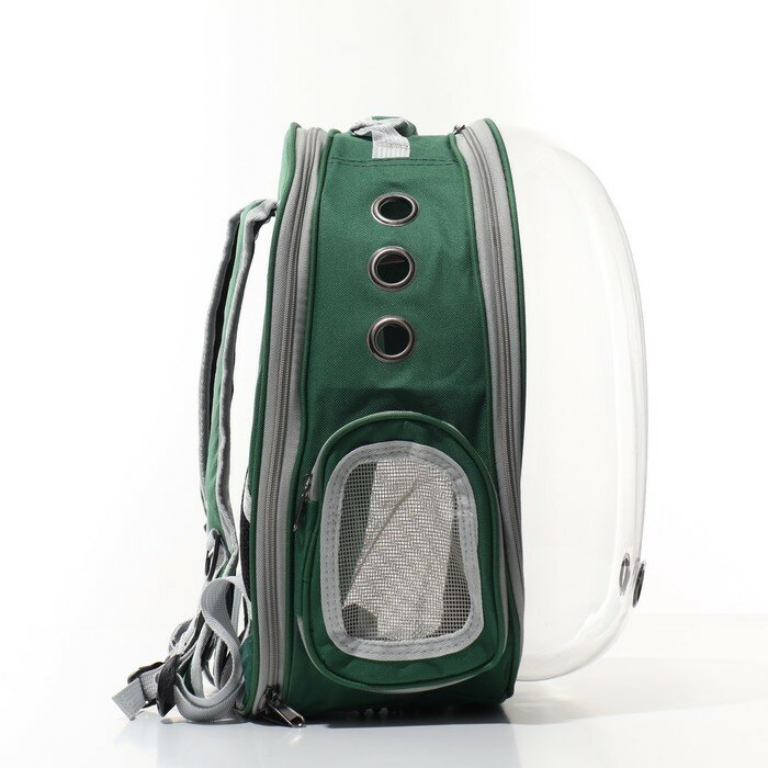 Прозрачный раскладывающийся рюкзак для животных, 33 х 28 х 42 см, зеленый - фотография № 3