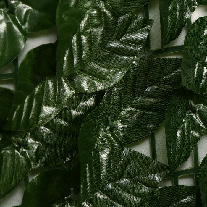 Изгородь декоративная, 100 × 300 см, «Листья удлинённые» - фотография № 4
