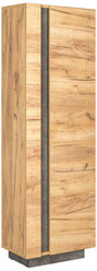 Шкаф комбинированный Моби Арчи дуб золотой / камень темный 50x30.1x147.6 см