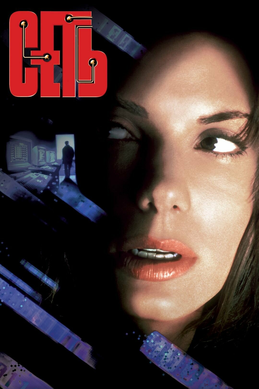 Сеть (1995) (DVD-R)